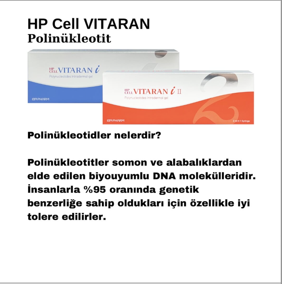 Polinükleotitler Nelerdir ?